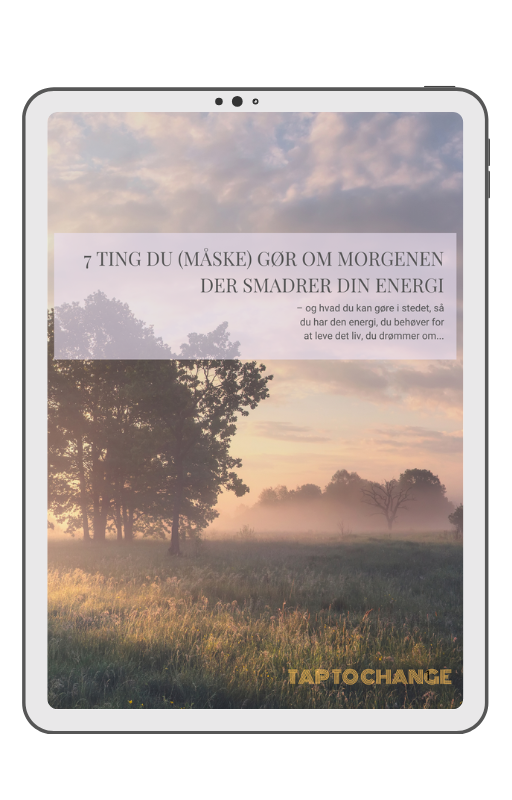 e-bog om morgenrutiner